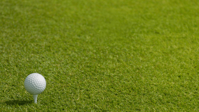 Golf ball on a tee positioned on a well-maintained golf course fairway.
