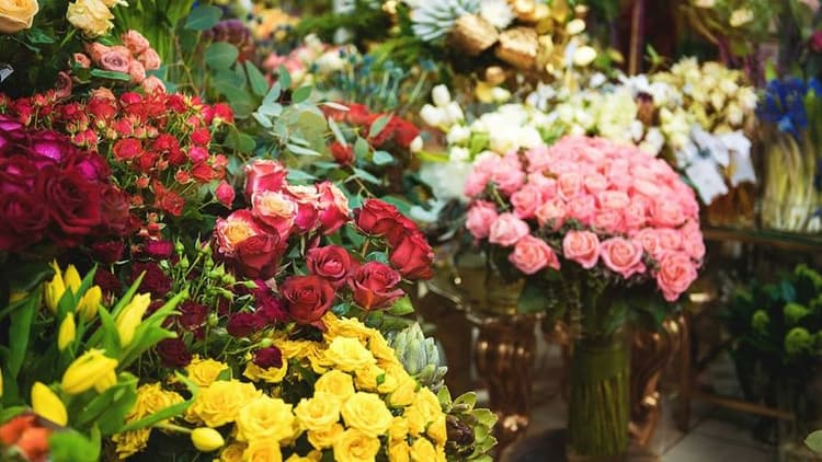 WholesaleCarnations.com Expands Bulk Flower Supply Options With Unmatched Pricing and Freshness