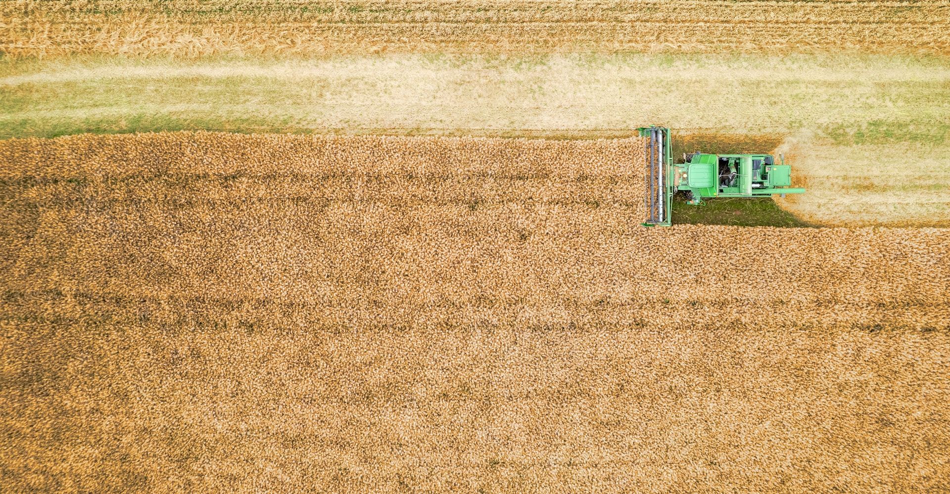 Bernd Dittrich Vp45qqkbhtw Unsplash