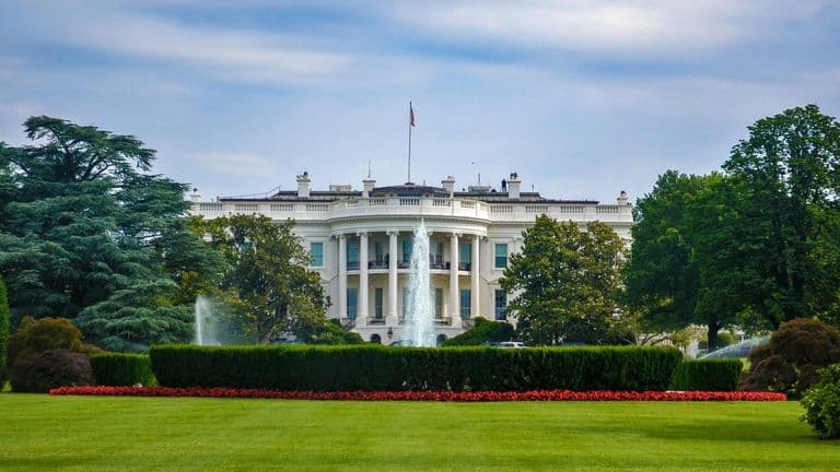 Tech CEOs Turn Charm Offensive into Policy Wins at White House