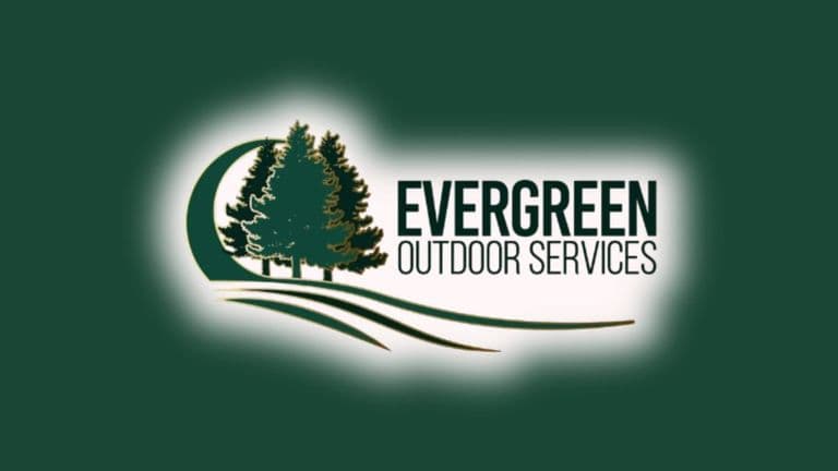 Houston’s Overgrown Lawn Cleanup Experts: How Evergreen Restores Order to Wild Yards