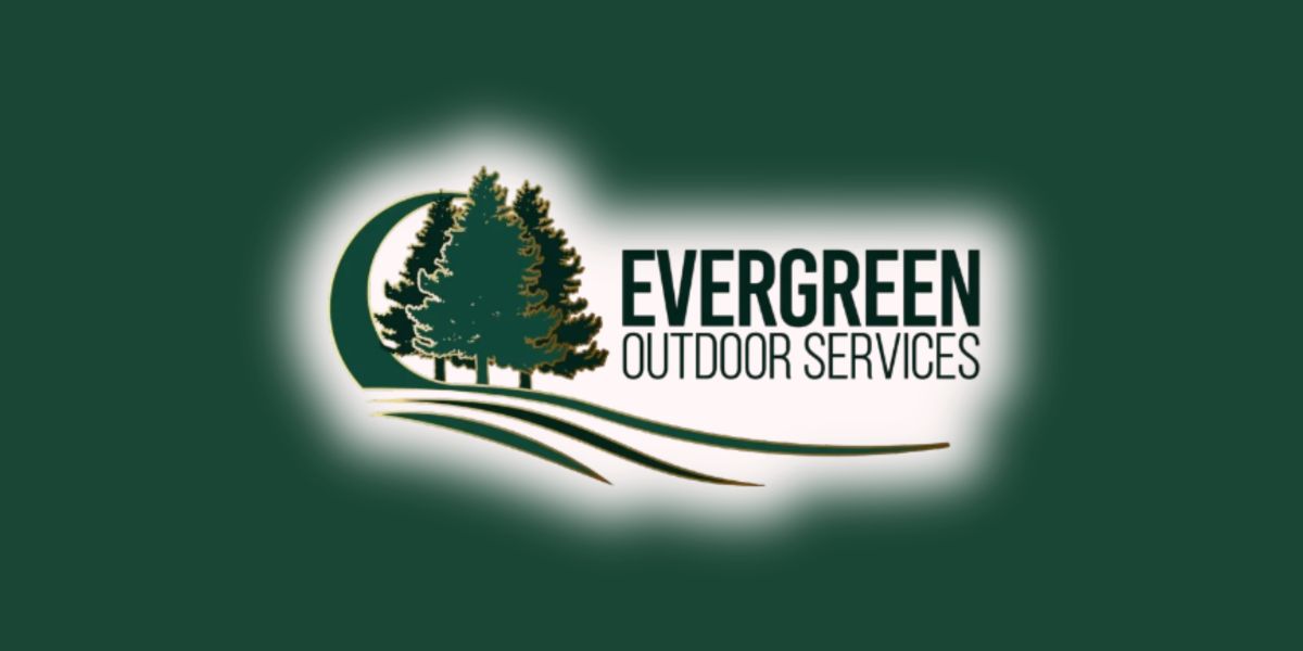 Houston’s Overgrown Lawn Cleanup Experts: How Evergreen Restores Order to Wild Yards