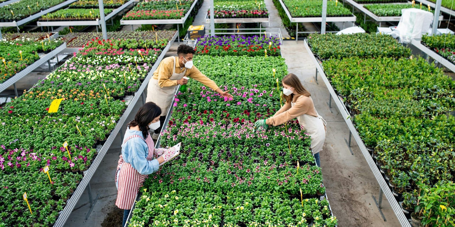 GreenSprout Revolutionizes Urban Agriculture with Smart Vertical Farming Solutions