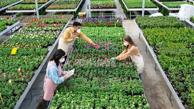 GreenSprout Revolutionizes Urban Agriculture with Smart Vertical Farming Solutions