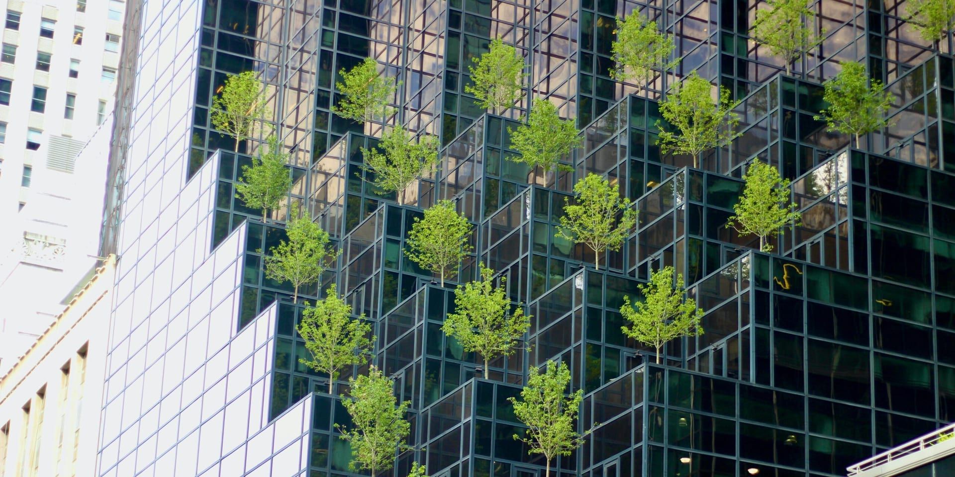 The Rise of Sustainable Business Models: How Companies Are Adapting to a Greener Future