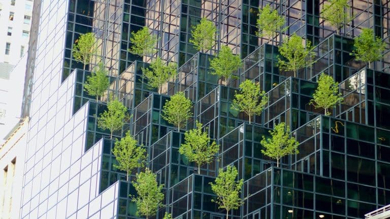 The Rise of Sustainable Business Models: How Companies Are Adapting to a Greener Future