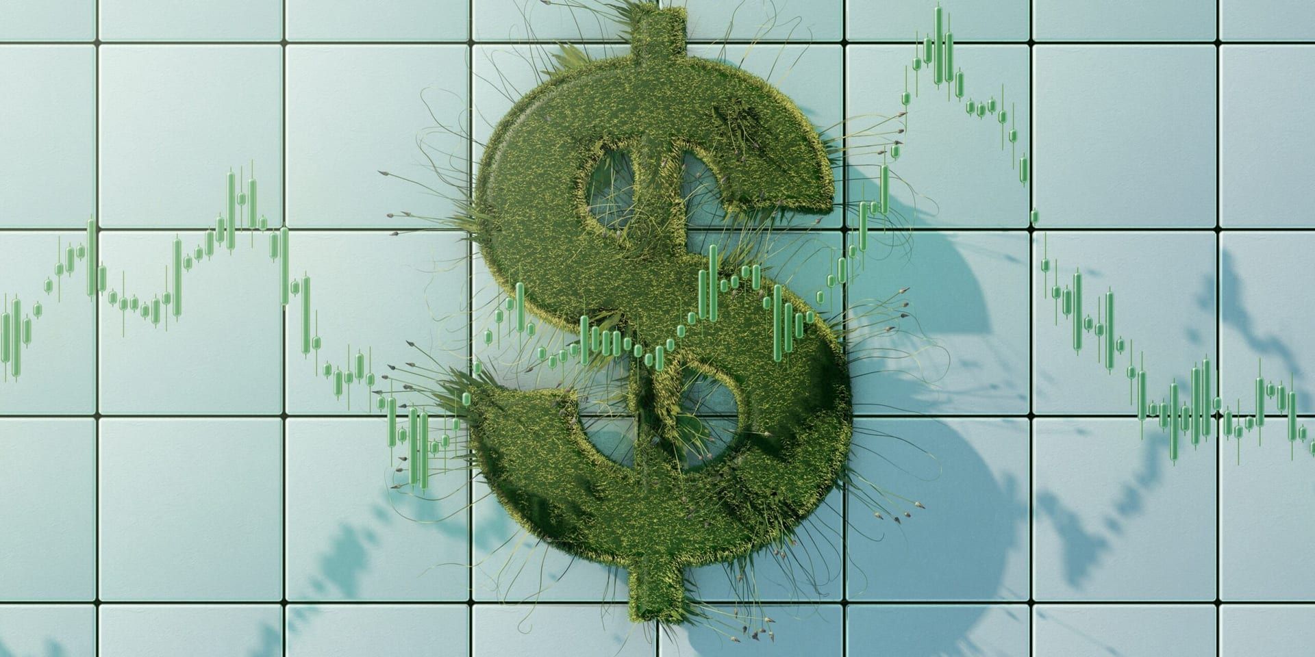 U.S. Stock Market Outlook