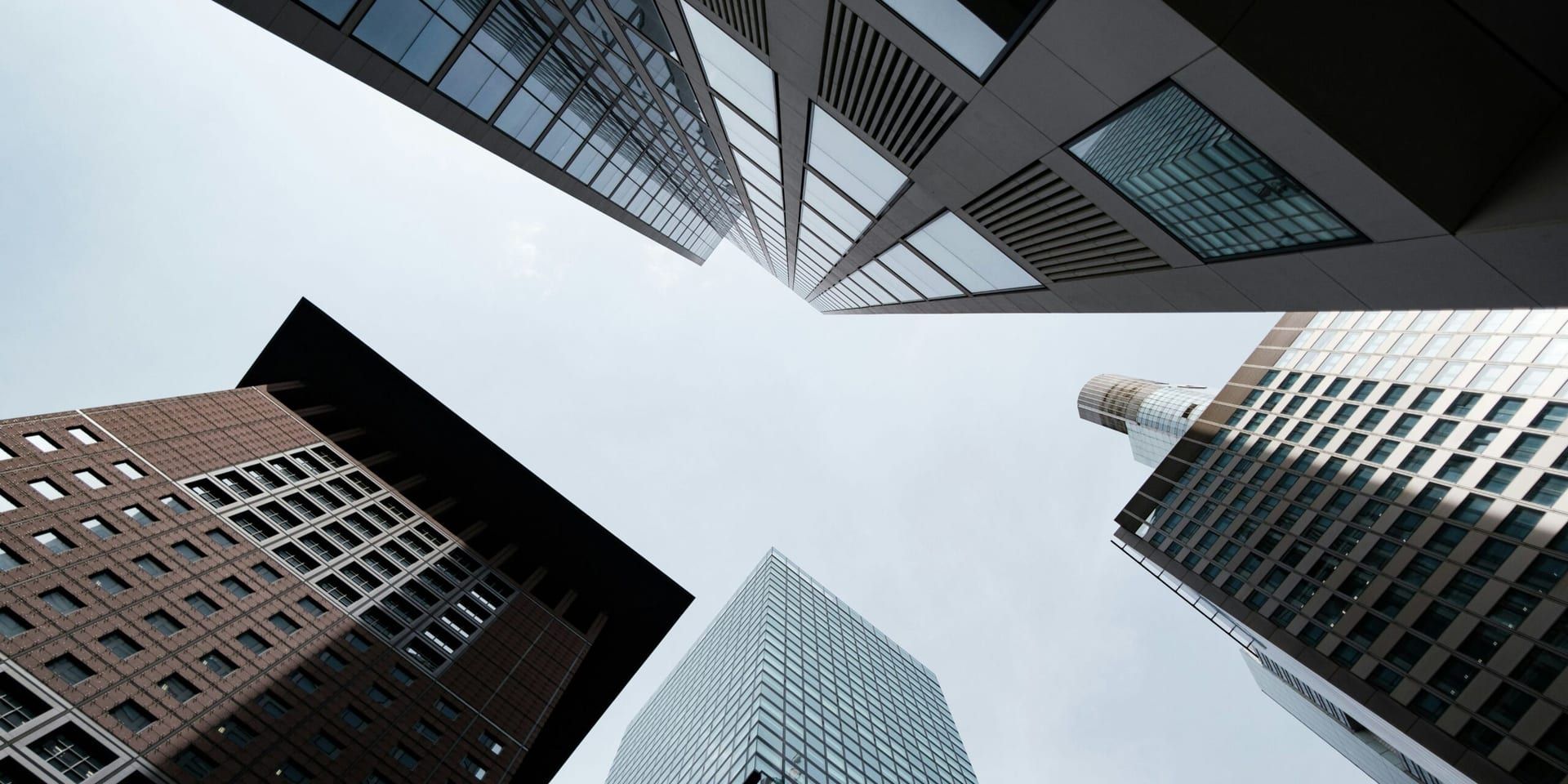 Beyond Boundaries: Companies Redefining Growth And Innovation