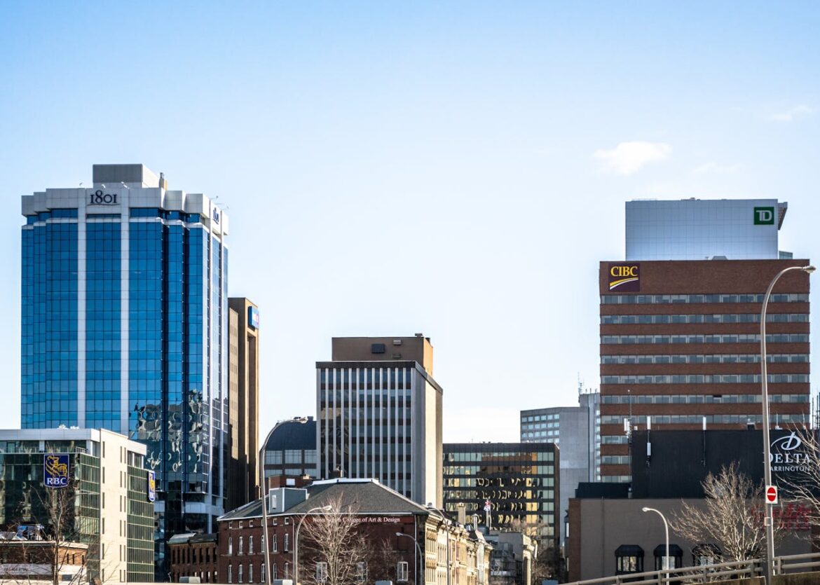 Pexels Enrique 11376657