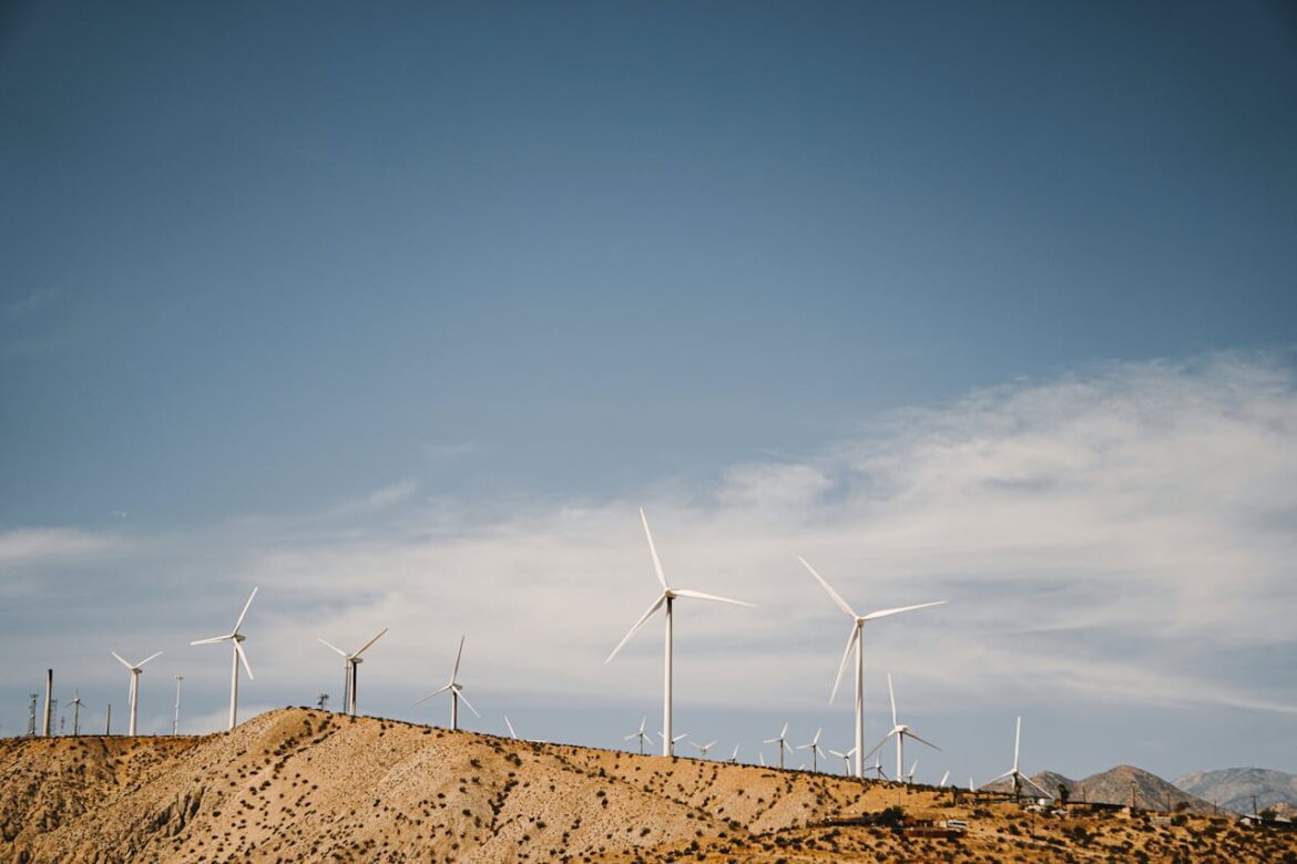 Pexels Kindelmedia 9800114